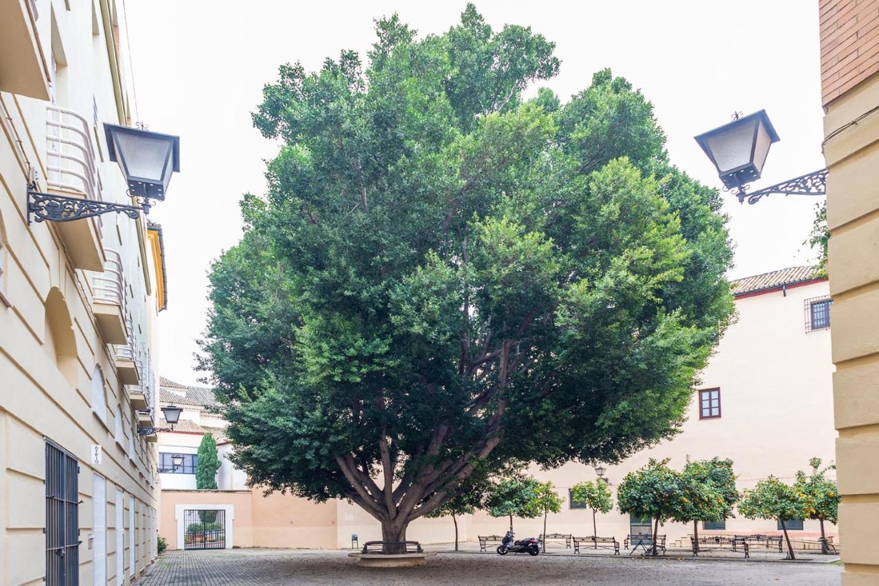 סביליה Alohamundi Escuelas Pias מראה חיצוני תמונה
